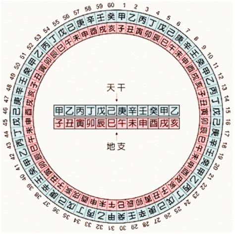 1995 天干地支|干支对照表